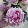 thuanh241